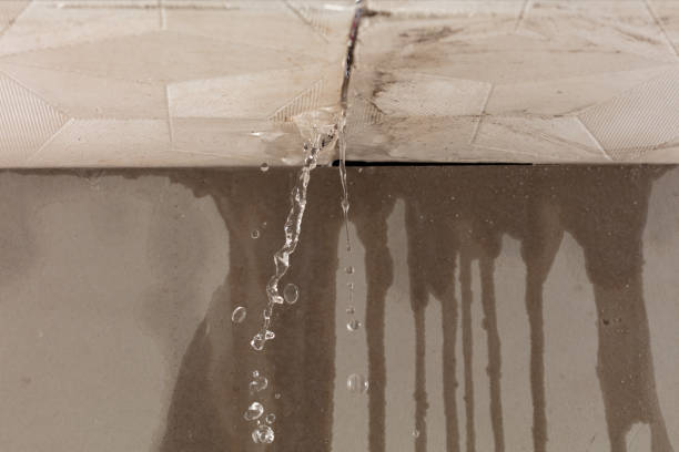 Professional Structural Drying technician working in Holmes, PA